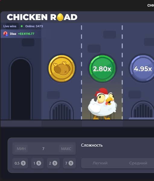 Chicken Road 2 La Guida Completa al Gioco di Avventura su Strada